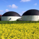 Biogas, occupazione e prospettive. Energie Rinnovabili