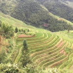 Cina tutela agricoltura e paesaggi rurali