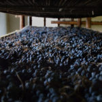 Anteprima Amarone, Valpolicella, un grazie ai produttori