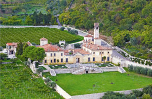 Boot Camp Allegrini nel cuore della Valpolicella