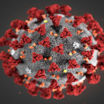 Coronavirus e la falla politica