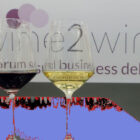 Veronafiere Vinitaly, wine2wine exhibition