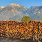 Dopo Vaia al Trentino manca legname