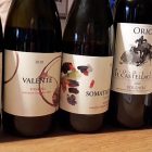 Podere il Castellaccio vitigni per ottimi vini