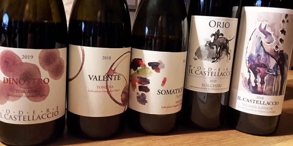 Podere il Castellaccio vitigni per ottimi vini
