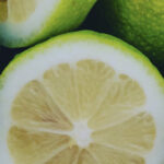 Verdello limone siciliano
