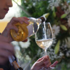 Merano Winefestival appuntamento di novembre