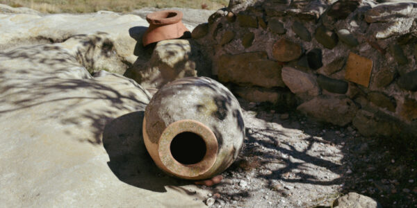 Merano WineFestival e Vinitaly, Amphora Revolution