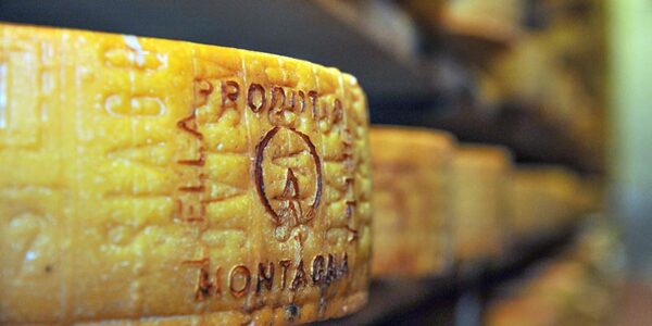 L’Asiago DOP Prodotto della Montagna